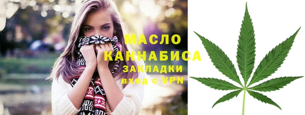 шишки Нязепетровск