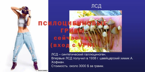 шишки Нязепетровск