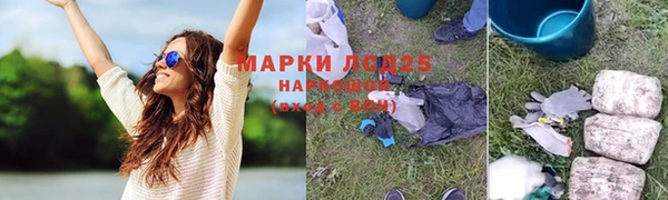 шишки Нязепетровск